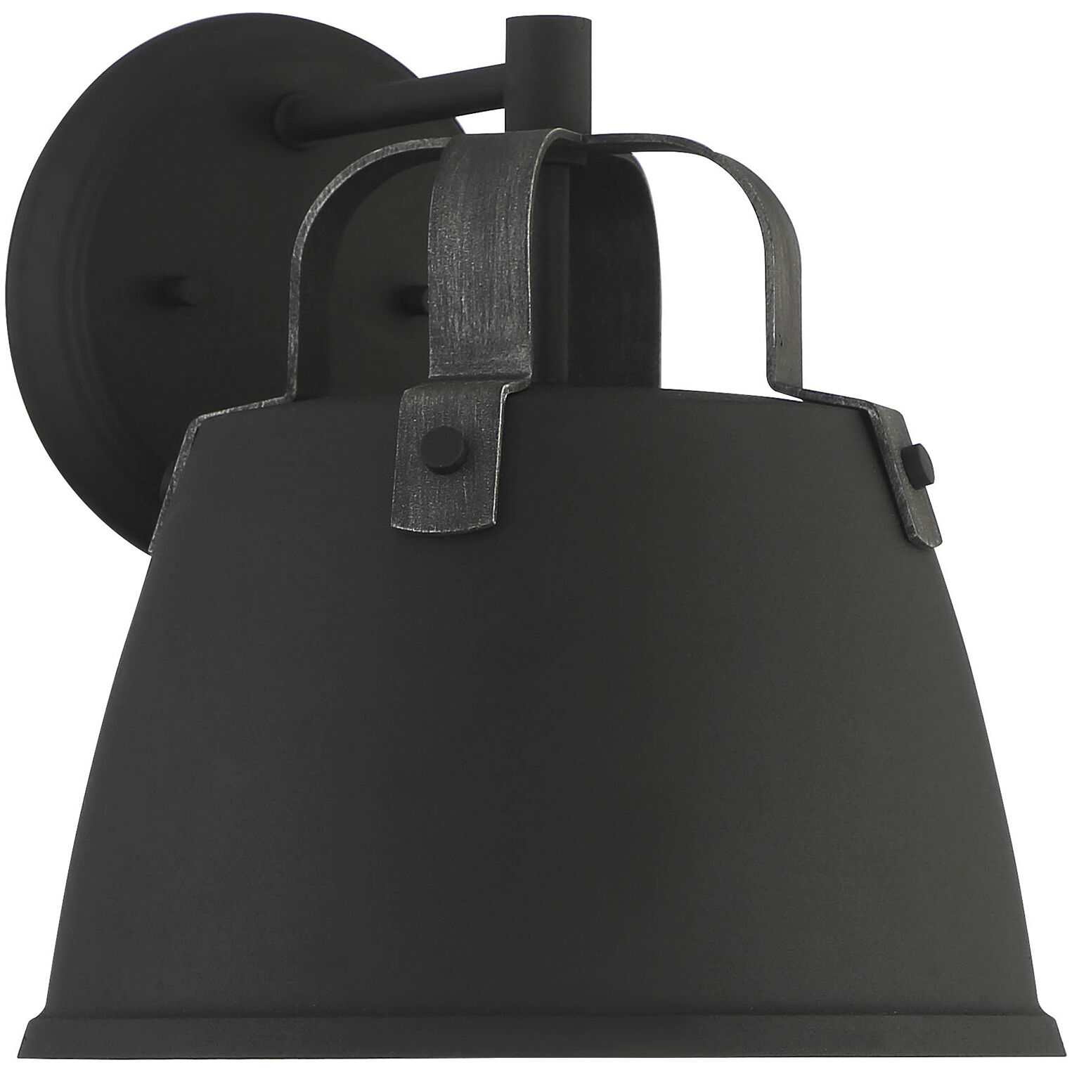 Albany 1 Light 11 inch Black Outdoor Wall Lantern
